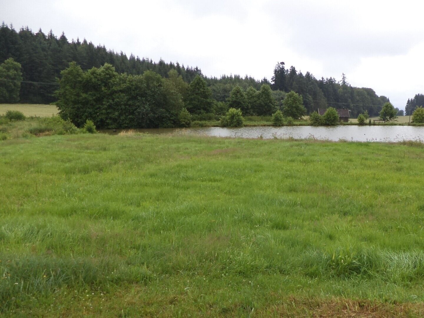 Prodej pozemek - Starý Bozděchov, Horní Radouň, 2 m²