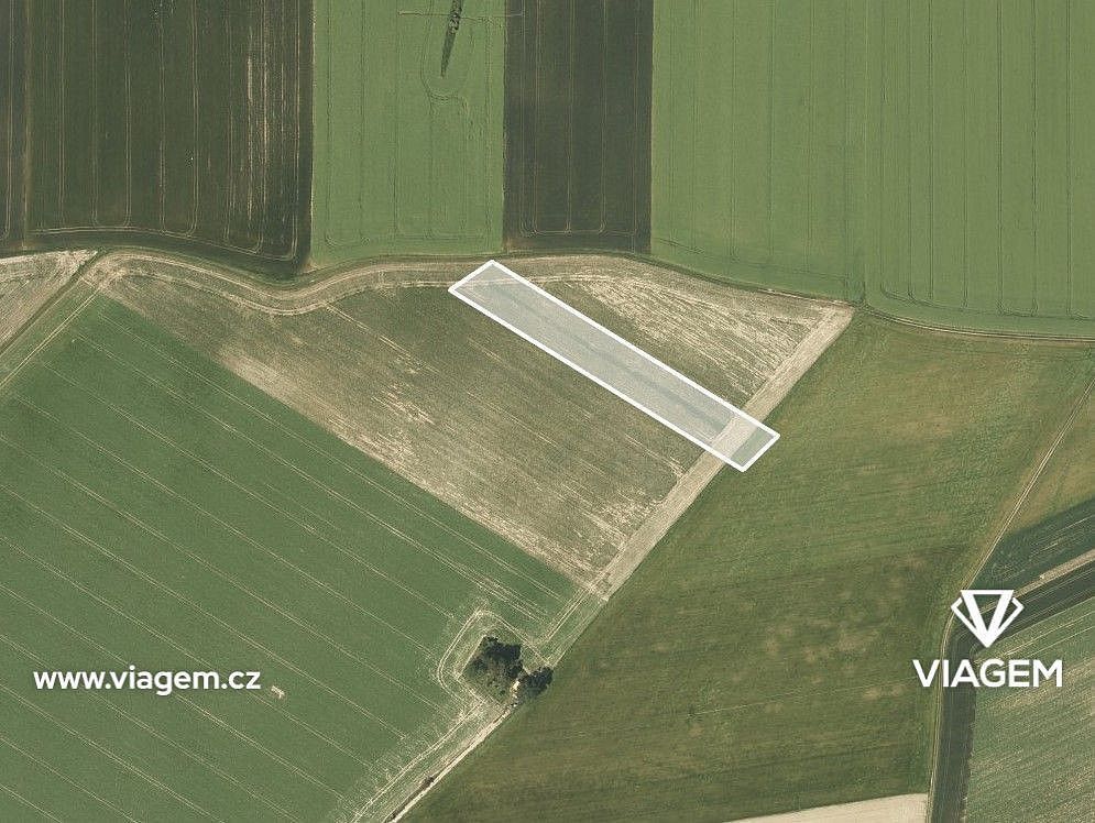 Prodej zemědělský pozemek - Dolní Životice, okres Opava, Moravskoslezský kraj - 2