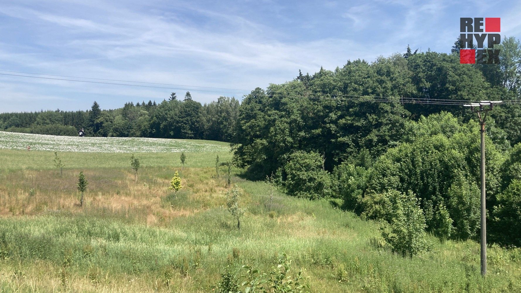 Prodej zemědělský pozemek - Lomnice nad Popelkou - Želechy, okres Semily - 2