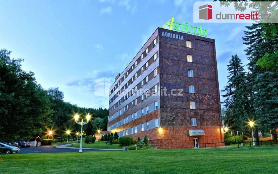 Ubytovací zařízení, Tyršova, Mariánské Lázně, 12 205 m²