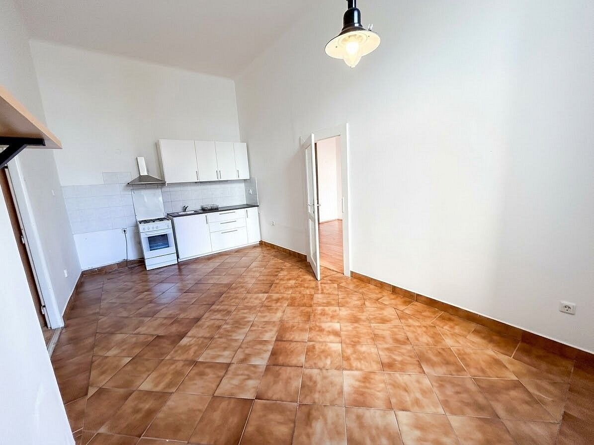 3+1, Mánesova, Praha 2 - Vinohrady, 103 m² - 1