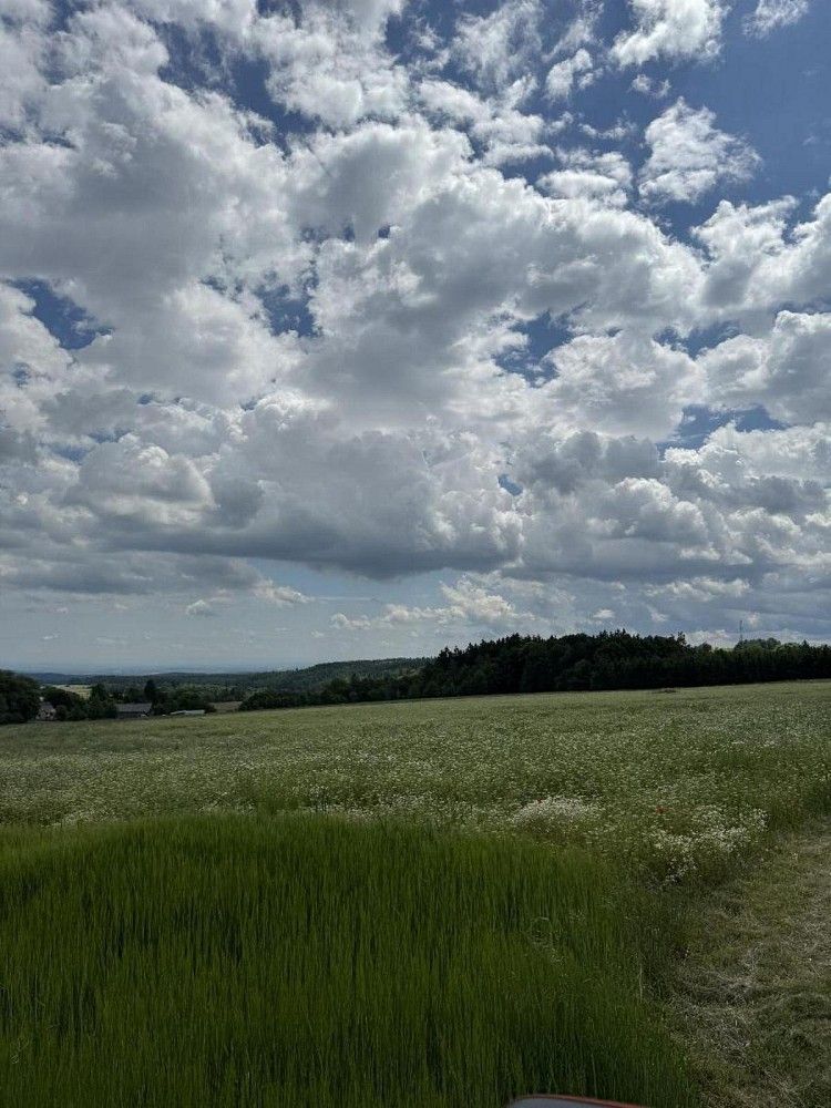 Zemědělské pozemky, Lipová - Benešov nad Ploučnicí, okres Prostějov, Olomoucký kraj