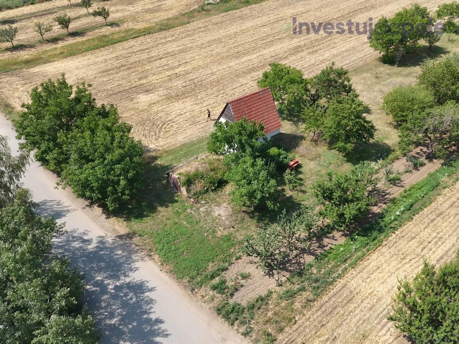 Ostatní