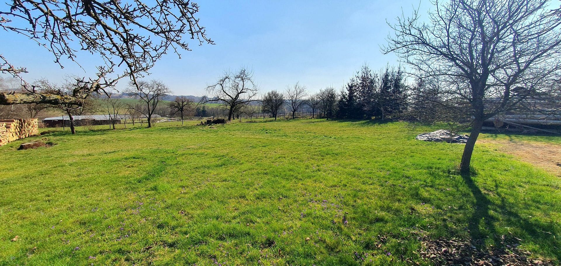 Pozemek pro bydlení · Kochánov, okres Havlíčkův Brod, Kraj Vysočina - 4