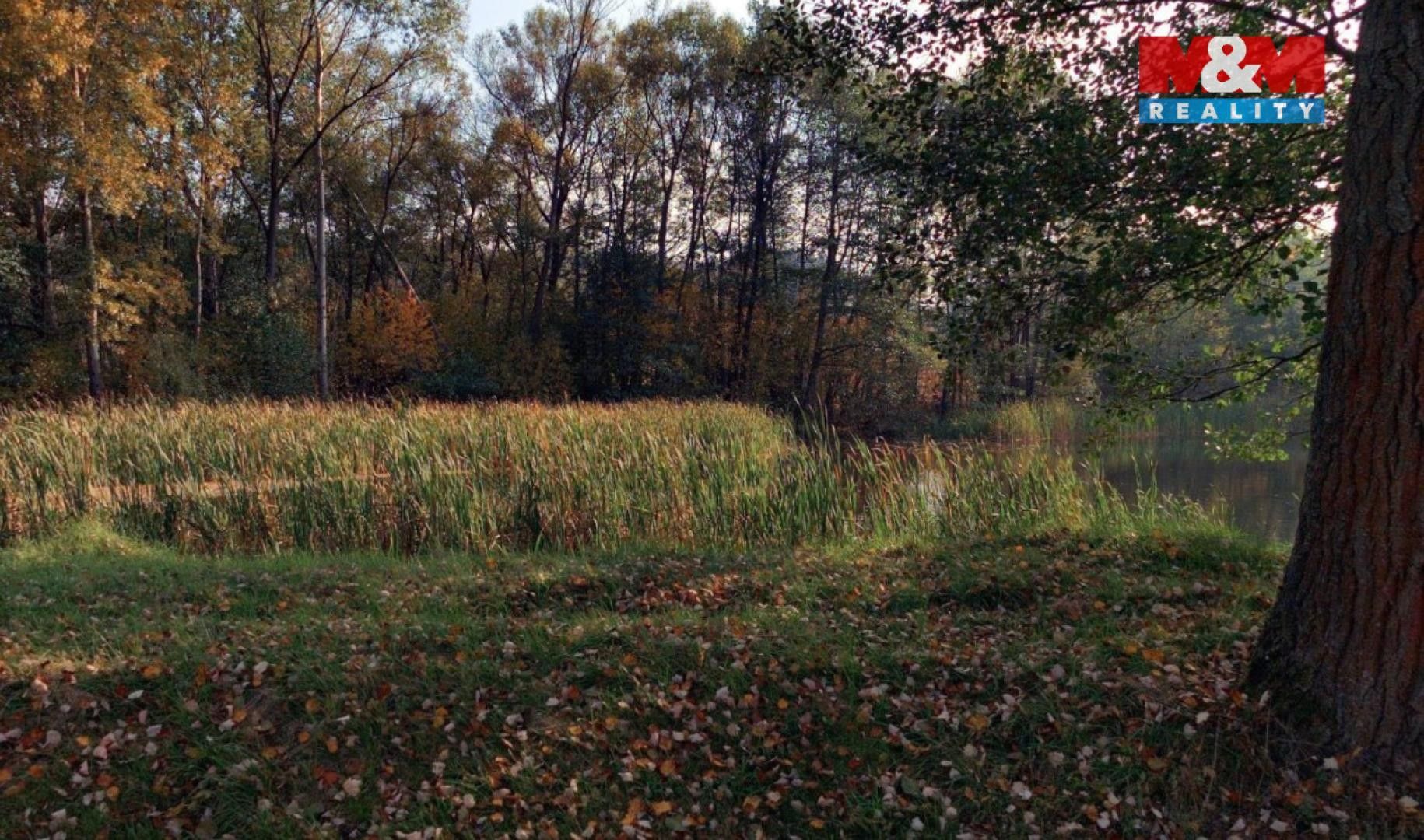 Prodej louka - Obděnice, Petrovice