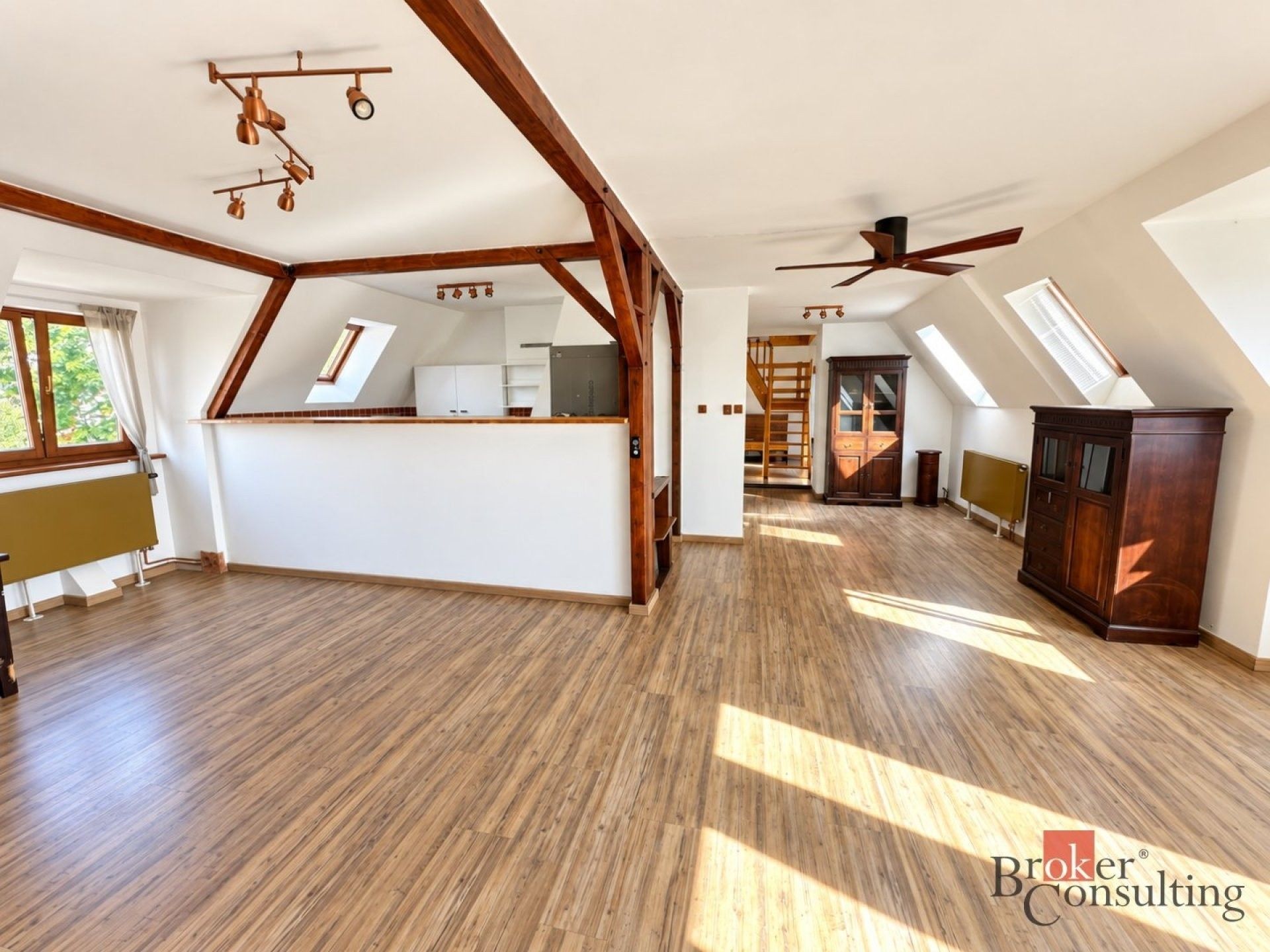 4+kk, Podkrušnohorská, Litvínov, 165 m² - 1