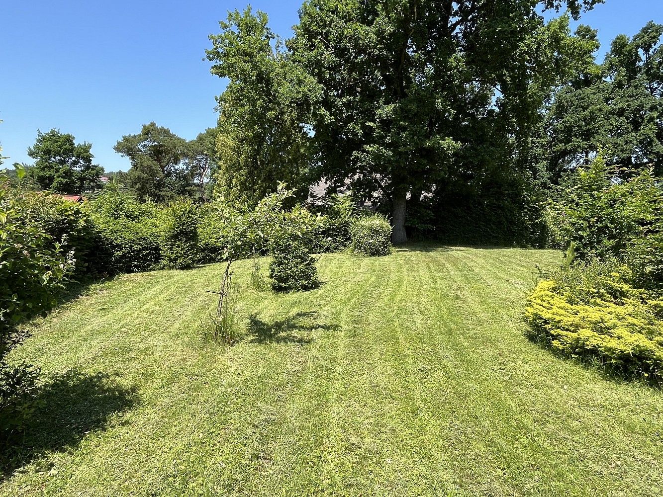 Pozemek pro bydlení, 610 m²