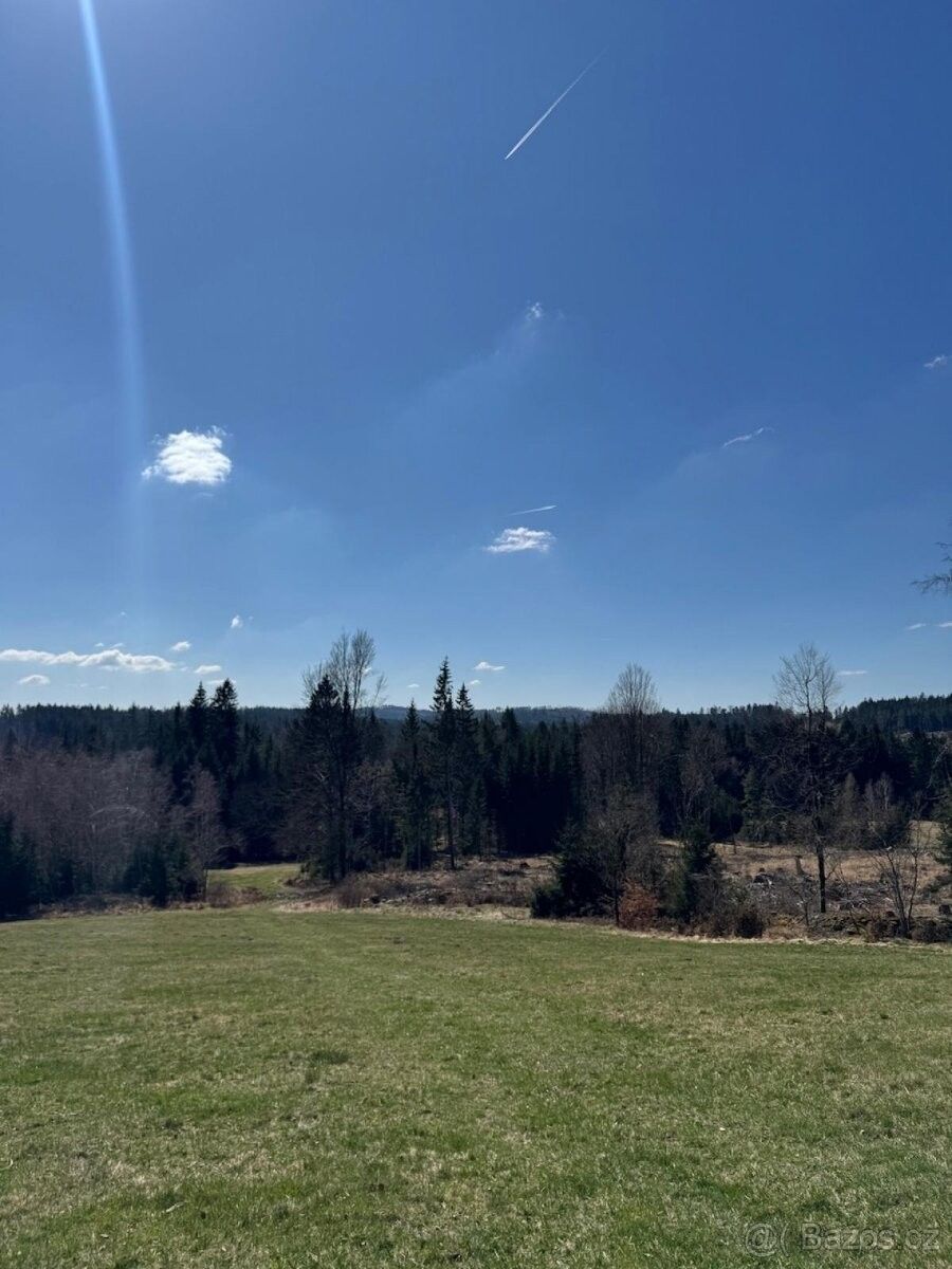 Prodej pozemek pro bydlení - Strmilov, 378 53