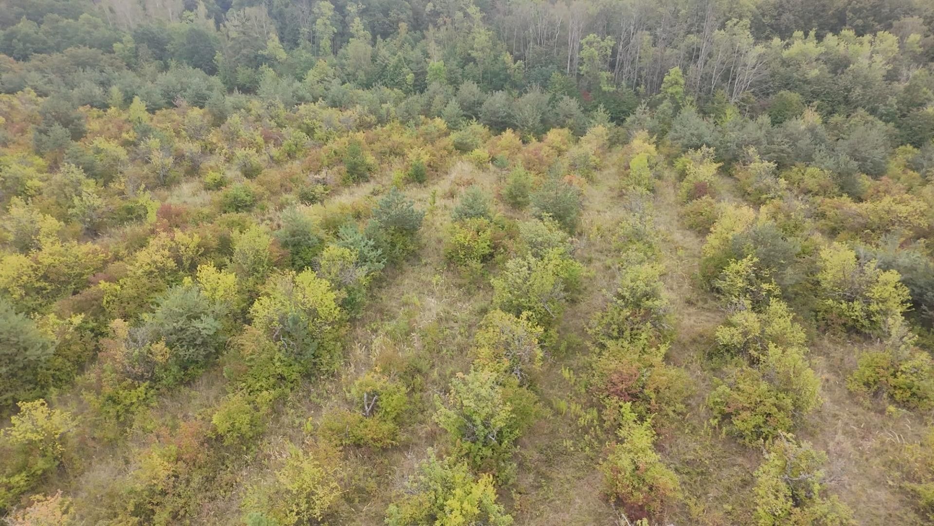 Pozemek · 42 877 m² · Bechlín - 3