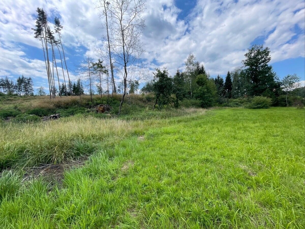 Prodej pozemek pro bydlení - Božejov, 393 01