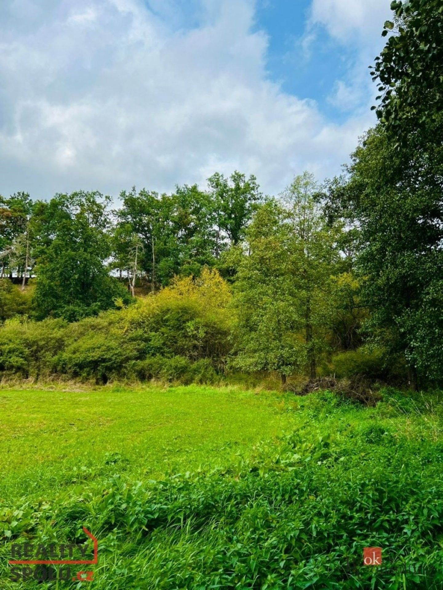 Prodej louka - Rybníky, 1 277 m²