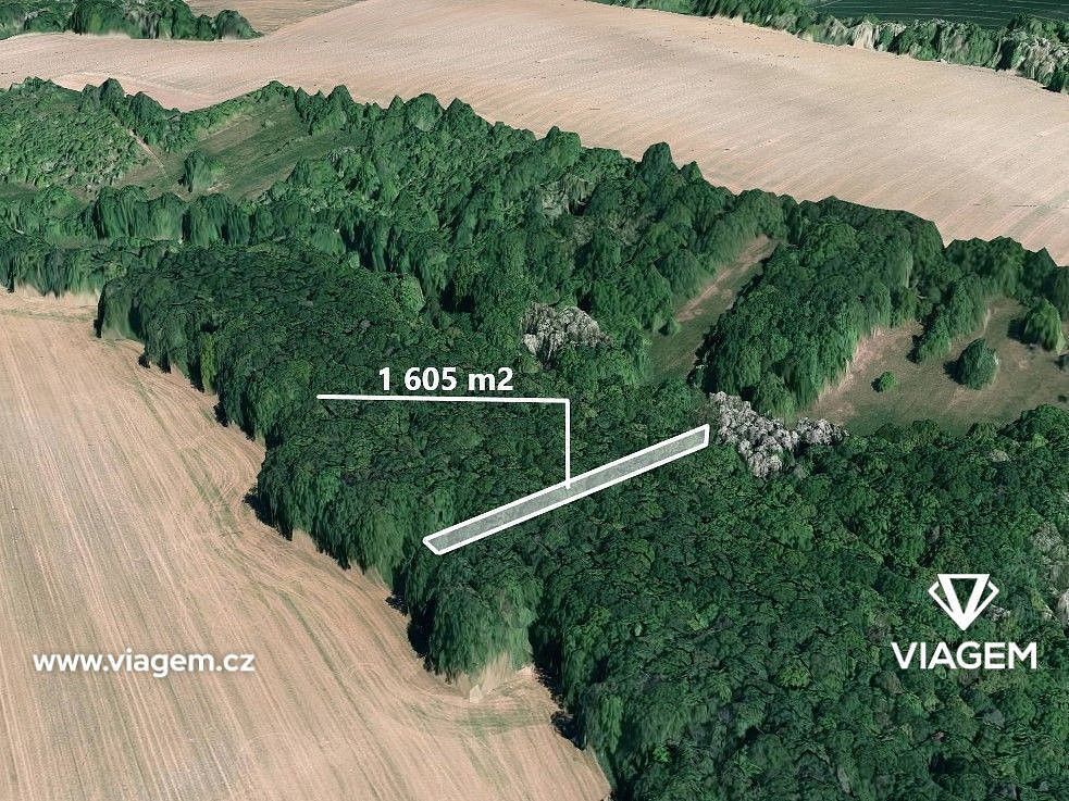 Lesy, Popovice, okres Uherské Hradiště, Zlínský kraj