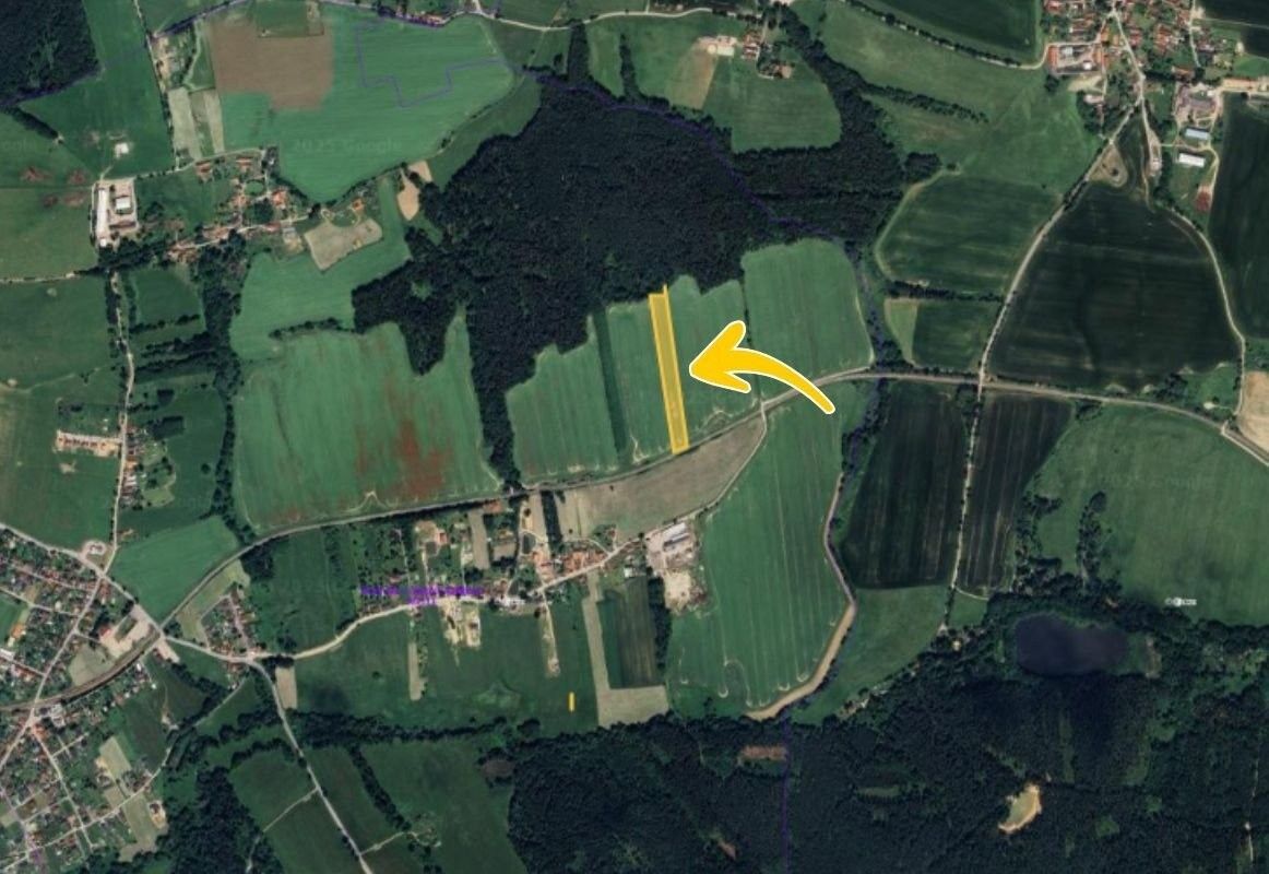 Prodej zemědělský pozemek - Nová Ves, 11 829 m²