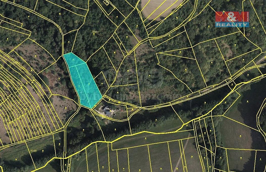 Louka · Nová Dědina, okres Kroměříž, Zlínský kraj - 4