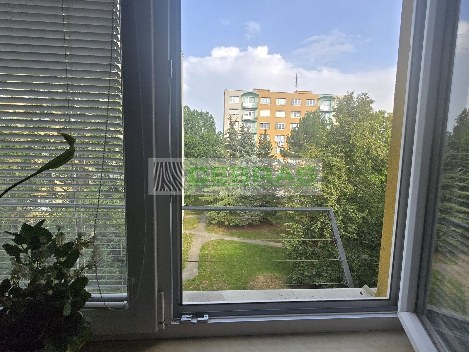 Pronájem byt 1+1 - J. Plachty, České Budějovice, 36 m² - 5