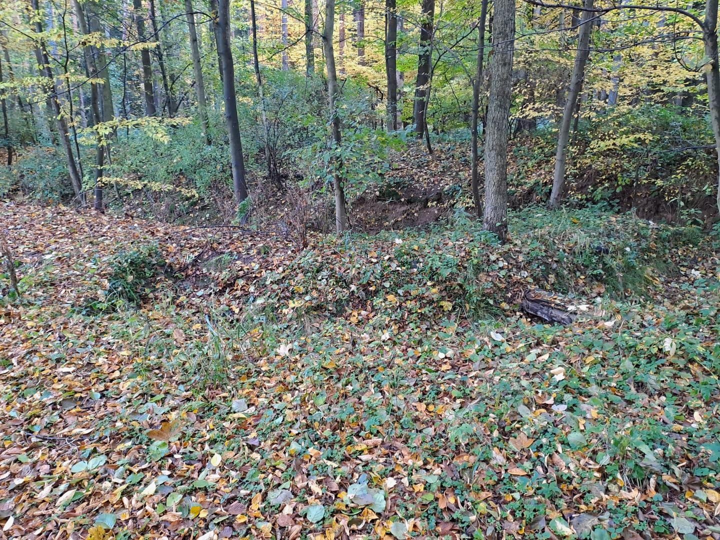 Prodej zahrada - Zdeslavice, Chlístovice