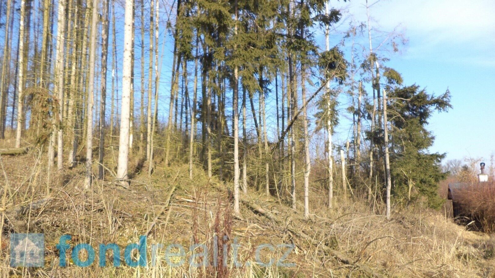 Prodej pozemek - Čelkovice, Tábor, 1 m²