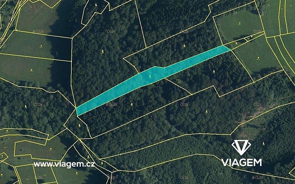 Les · Lužná, okres Vsetín, Zlínský kraj - 2