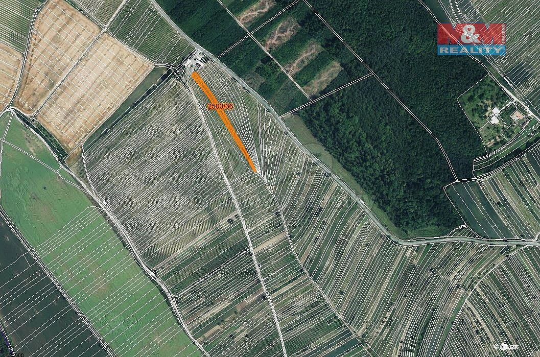 Zemědělské pozemky, Dolní Bojanovice, okres Hodonín, Jihomoravský kraj - 2