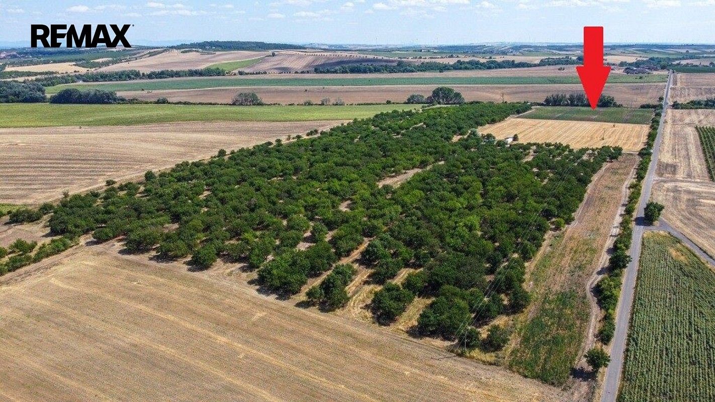 Pozemek · Valtice, okres Břeclav, Jihomoravský kraj - 4