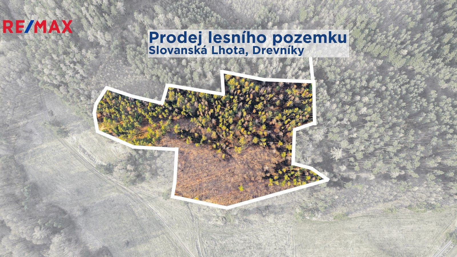 Lesy, Drevníky, 14 m²