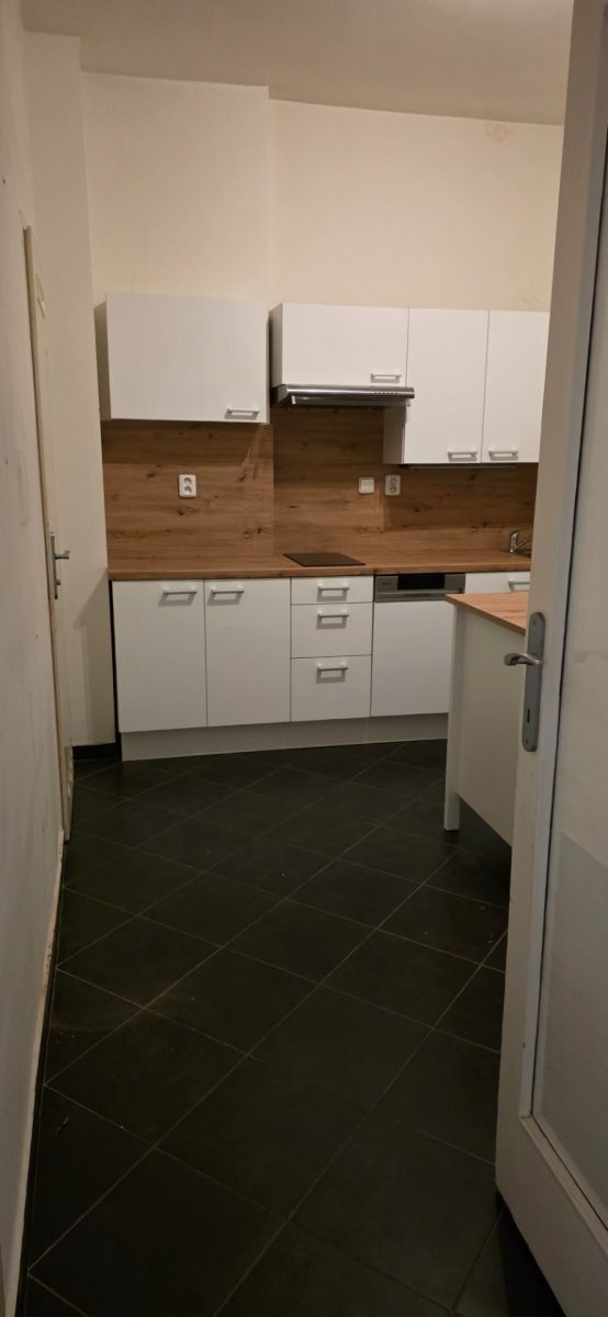 Byt 2+1 · 56 m² · Petrské náměstí, Praha - Nové Město - 4
