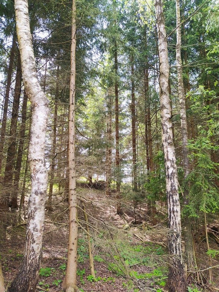 Prodej ostatní - Černovice u Tábora, 394 94