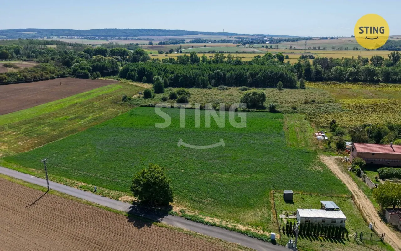 Ostatní