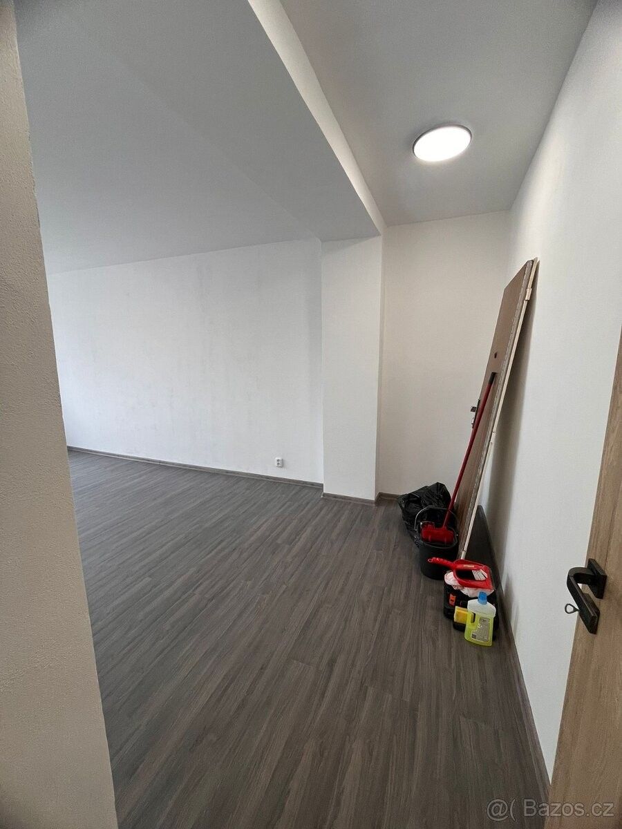 Pronájem byt - Březová, 356 01