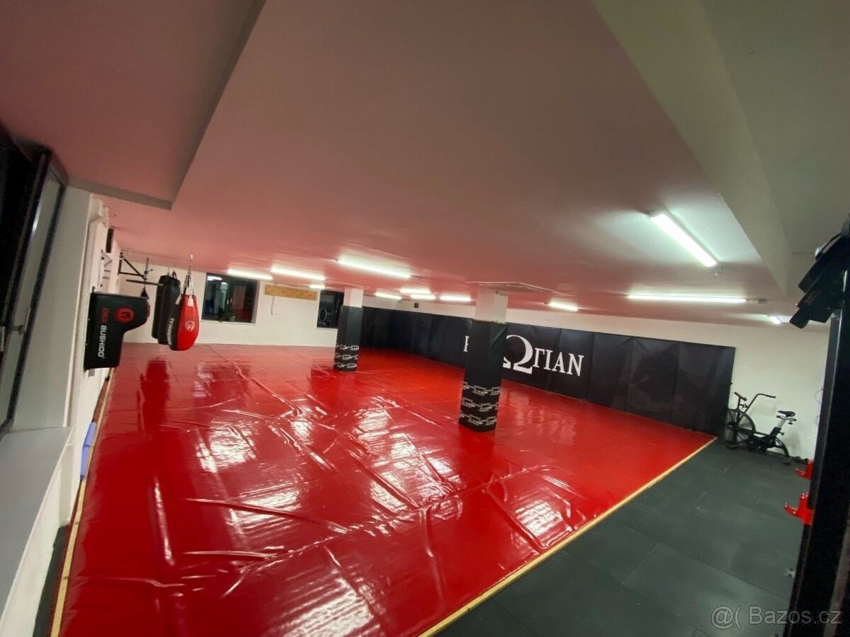 Ostatní, Židlochovice, 667 01