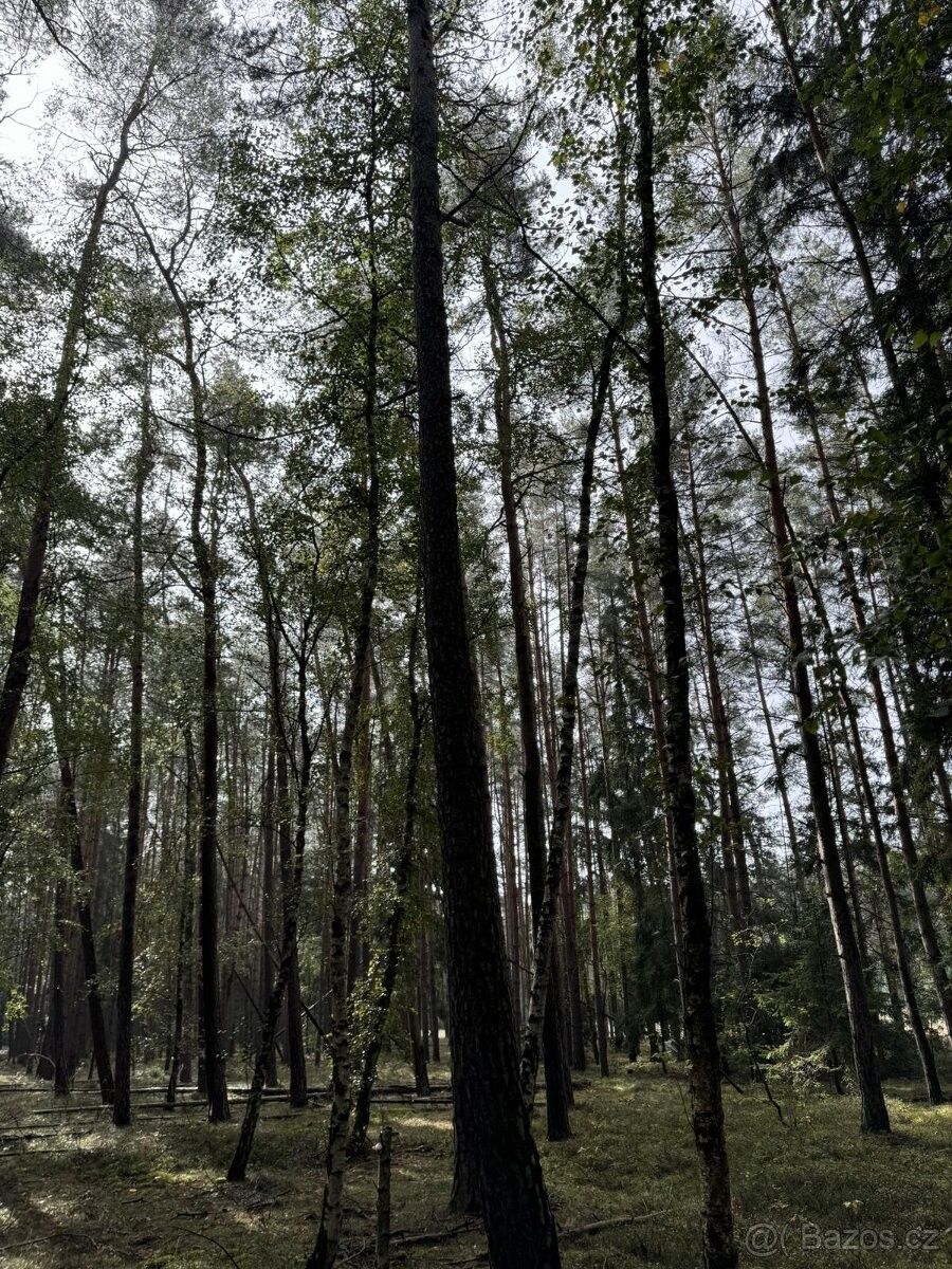 Pozemky pro bydlení, Třemošná, 330 11