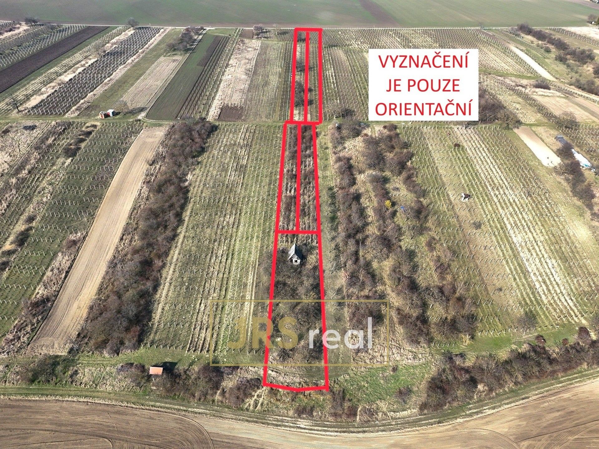 Zemědělské pozemky, Brumovice - 1