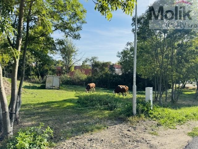 Prodej pozemek pro bydlení - Lipenec, Lipno, 852 m² - 2