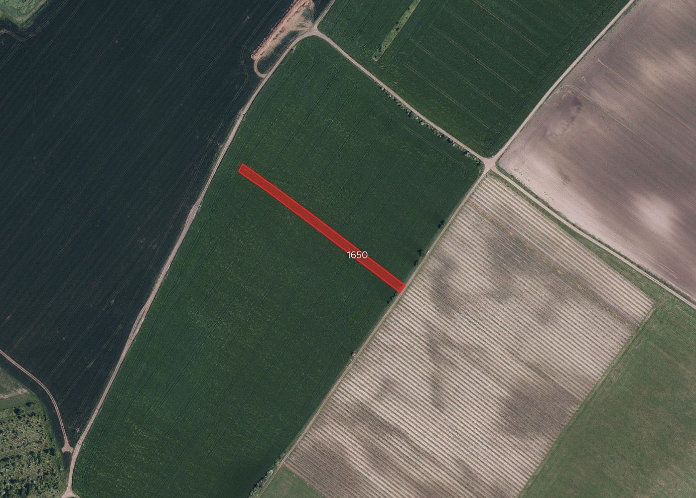Prodej zemědělský pozemek - Násedlovice, okres Hodonín, Jihomoravský kraj - 2