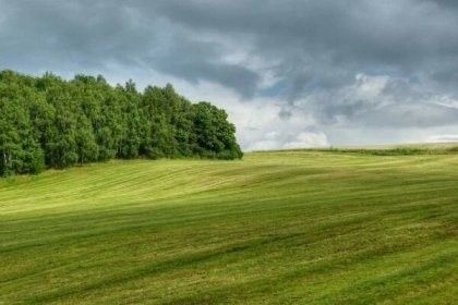 Pozemky pro bydlení, Jiřice u Miroslavi, 671 78