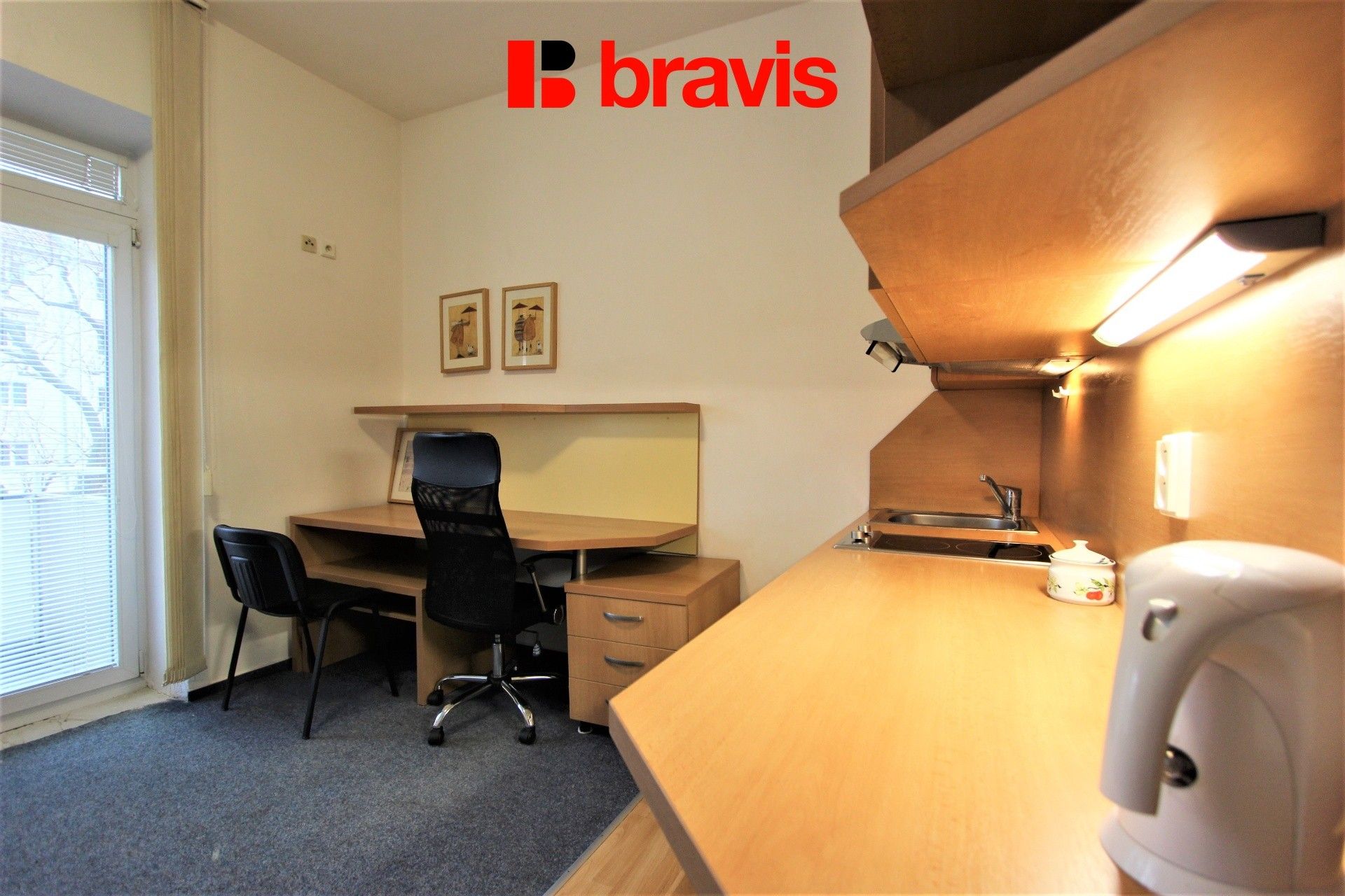 Byt 1+kk · 23 m² · Hoppova 880, Brno Veveří - 3