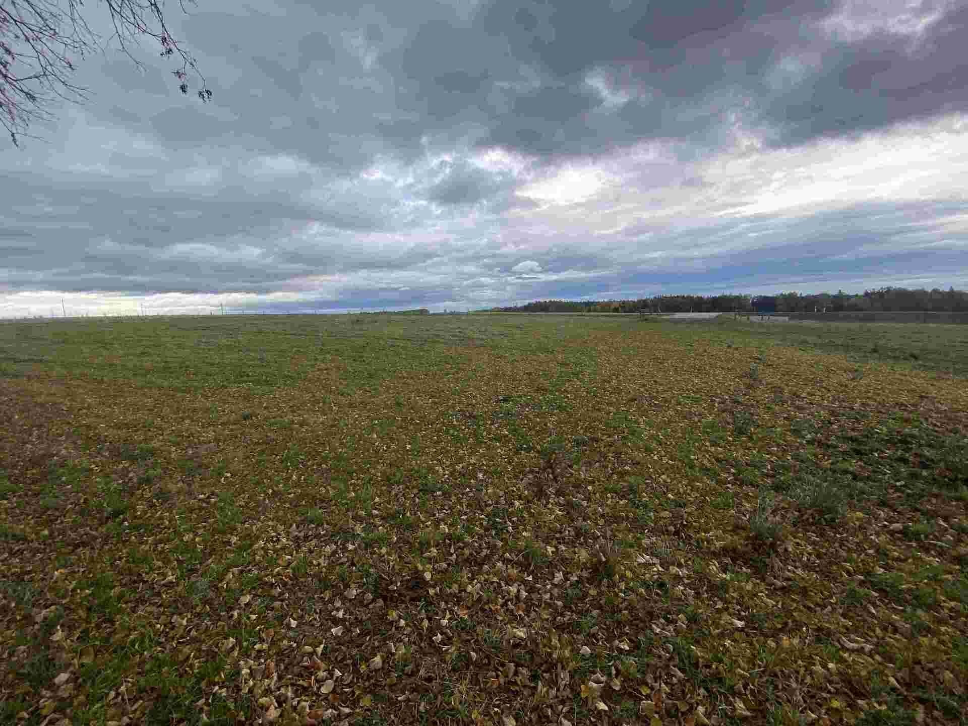 Prodej komerční pozemek - Strážkovice, 4 604 m² - 5