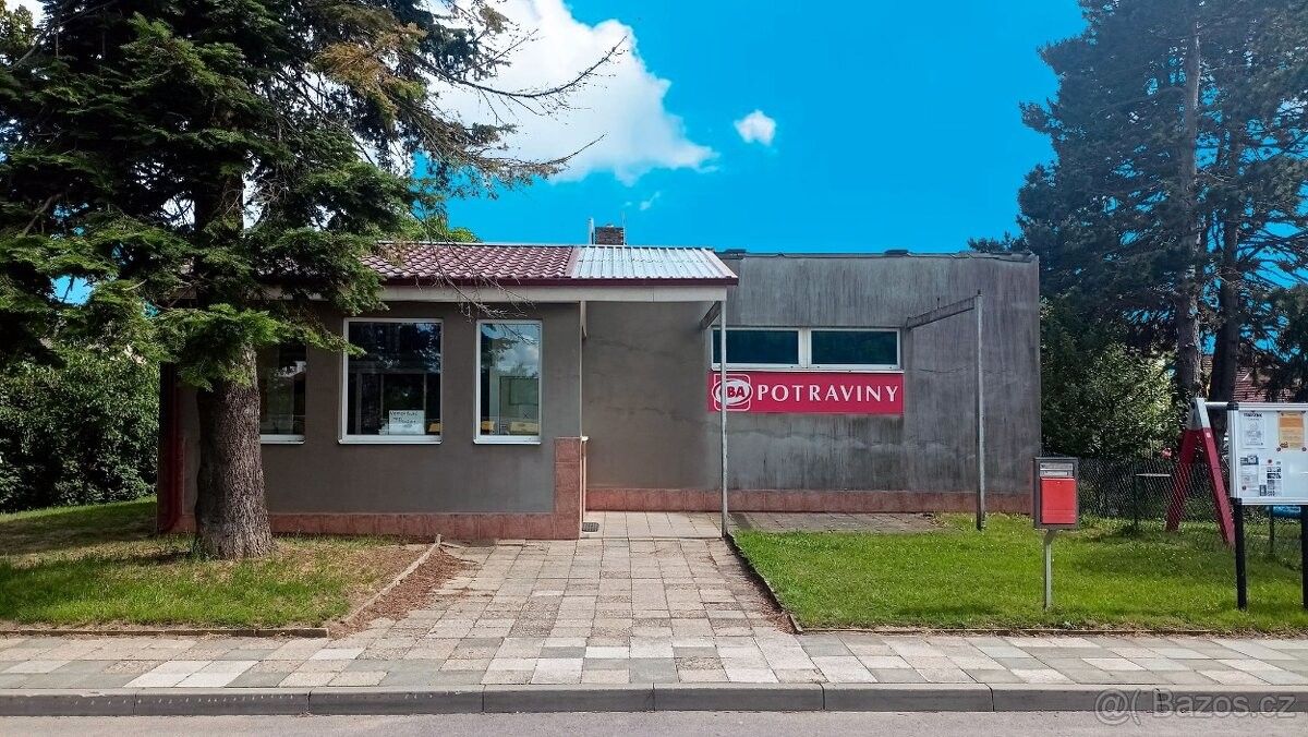 Prodej obchodní prostory - Dolní Kounice, 664 64 - 5