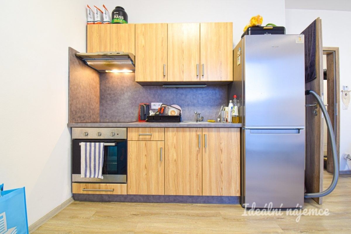 Pronájem byt 1+kk - Svitavská, Brno, 33 m²