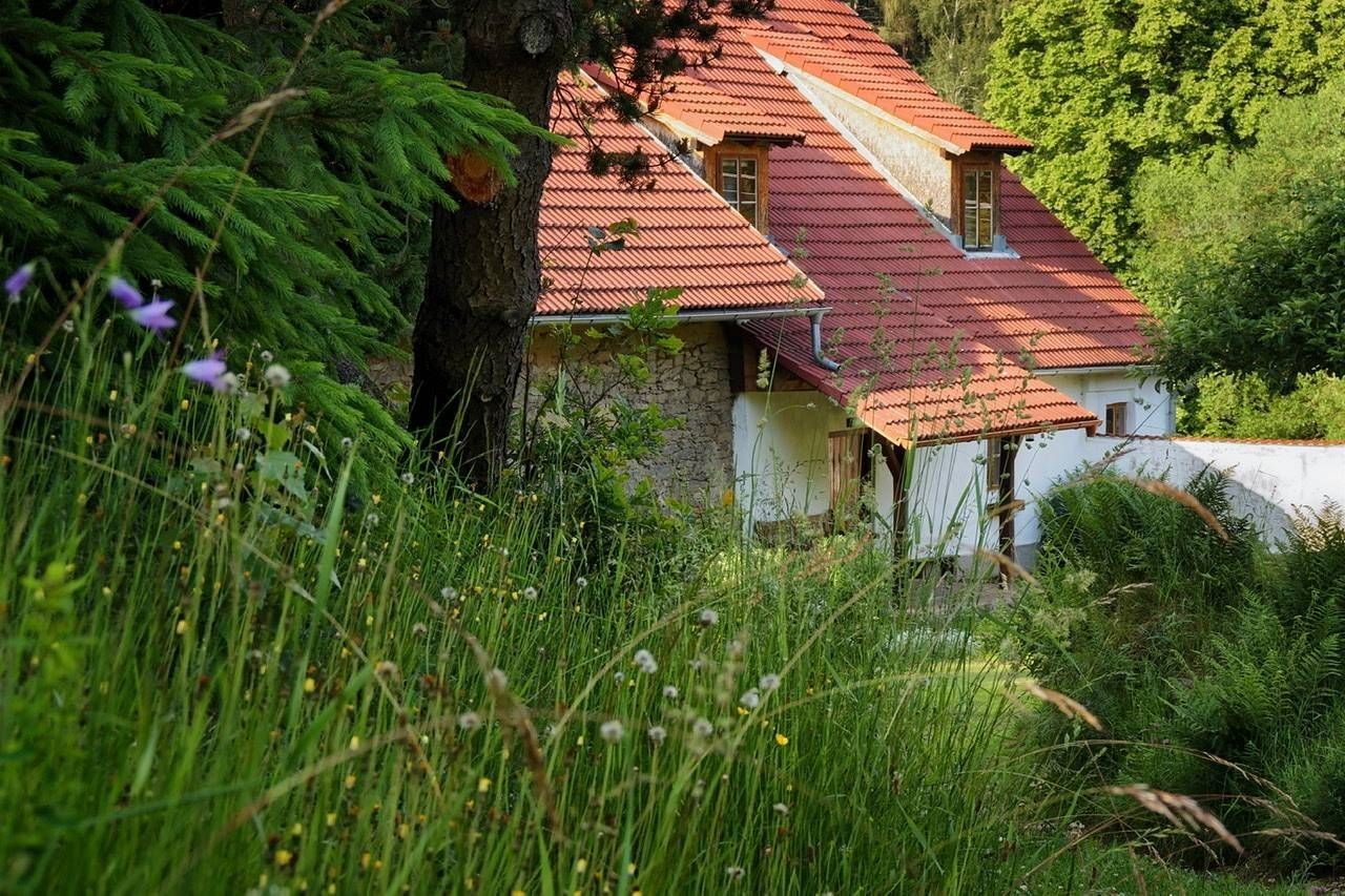 Pronájem chata - Benešov nad Černou - Kuří, Jihočeský kraj - 2