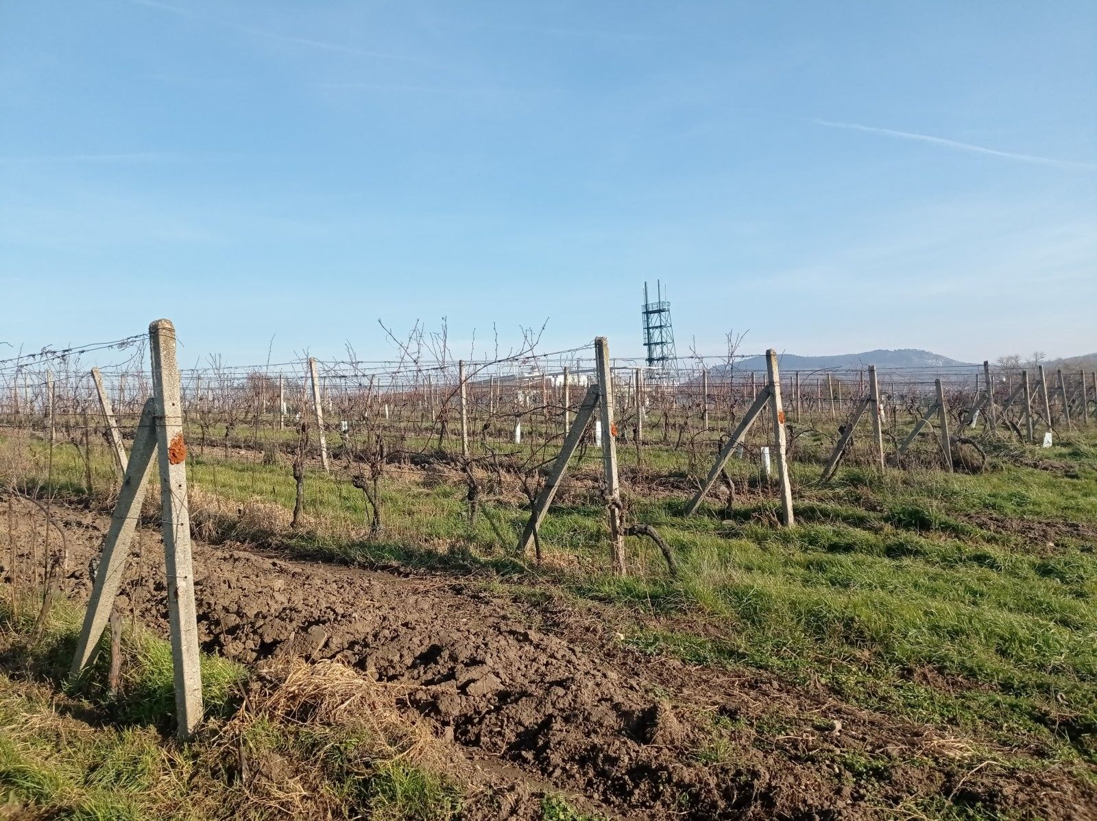 Prodej pozemek - Dolní Dunajovice, 6 m²