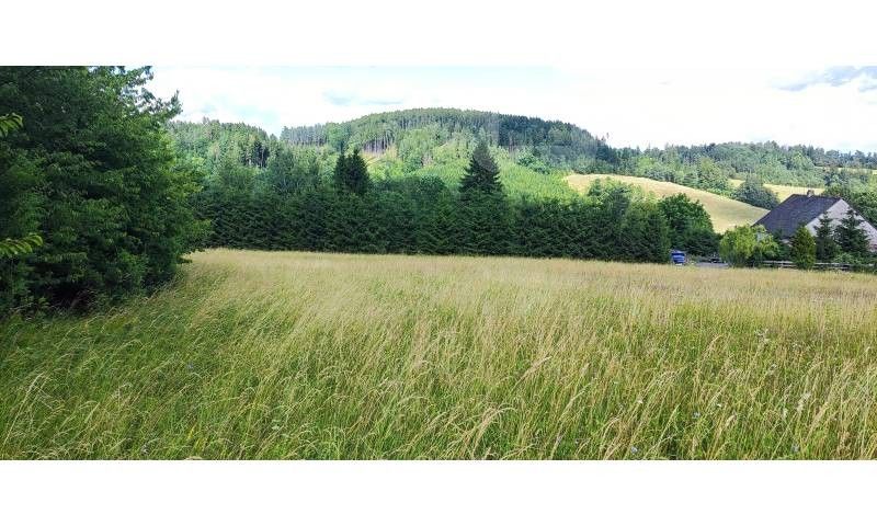 Prodej pozemek pro bydlení - Dolní Lánov