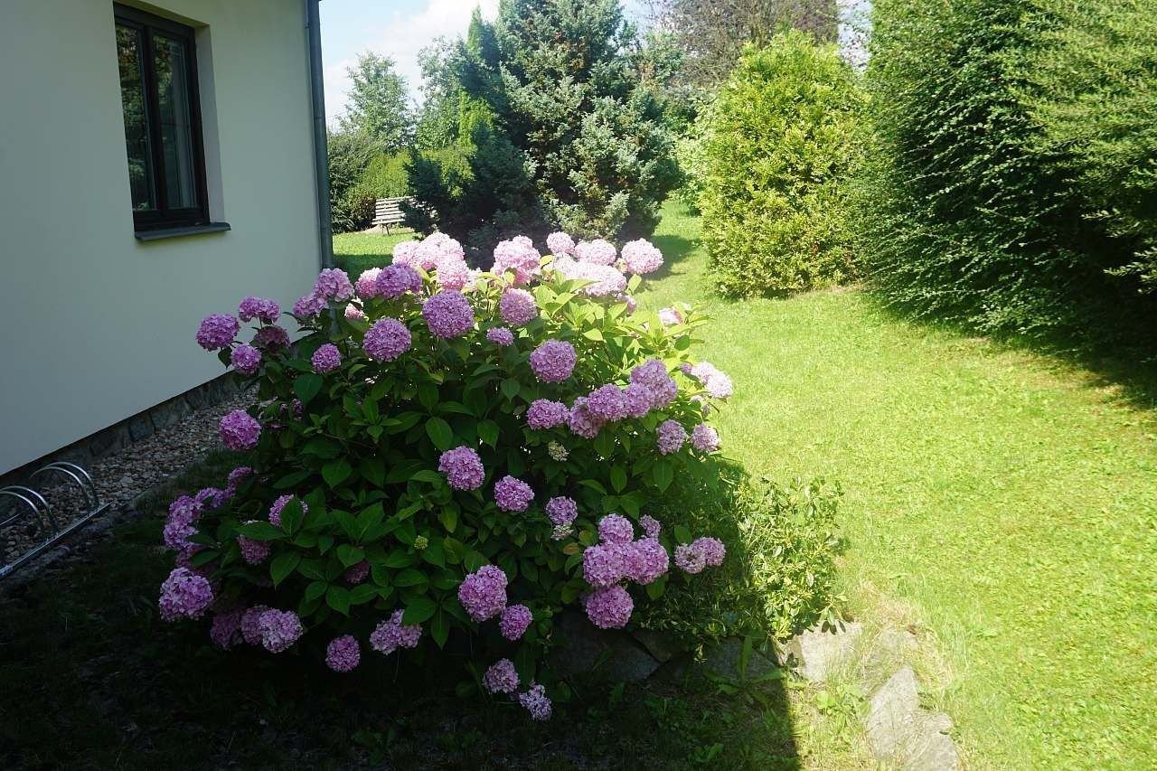 Chata · Kořenec, Jihomoravský kraj - 3