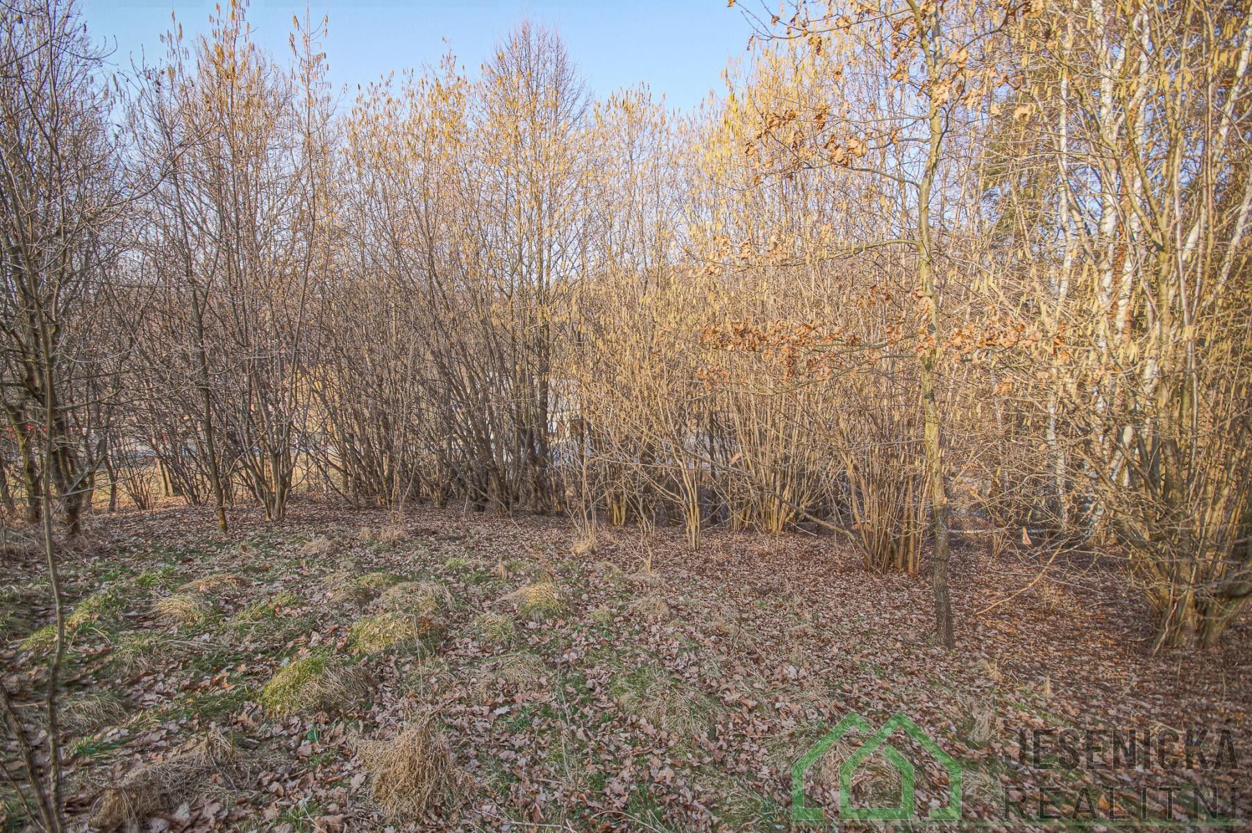 Prodej pozemek pro bydlení - Buková, Bernartice, 15 640 m² - 5