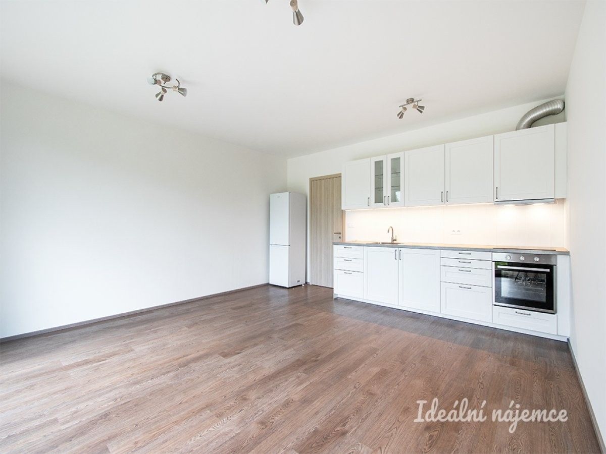 1+kk, Roudnická, Praha, 38 m²