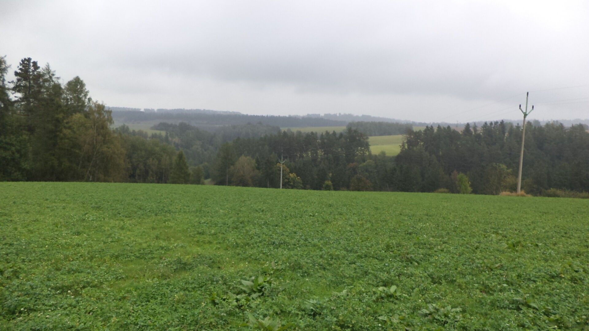 Prodej pozemek - Nové Hrady, 2 m²