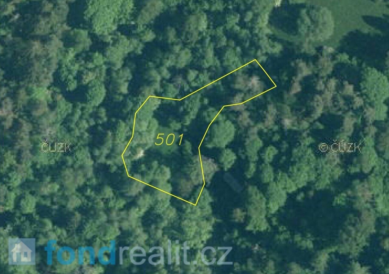 Pozemek · 4 999 m² · Rejštejn - 4