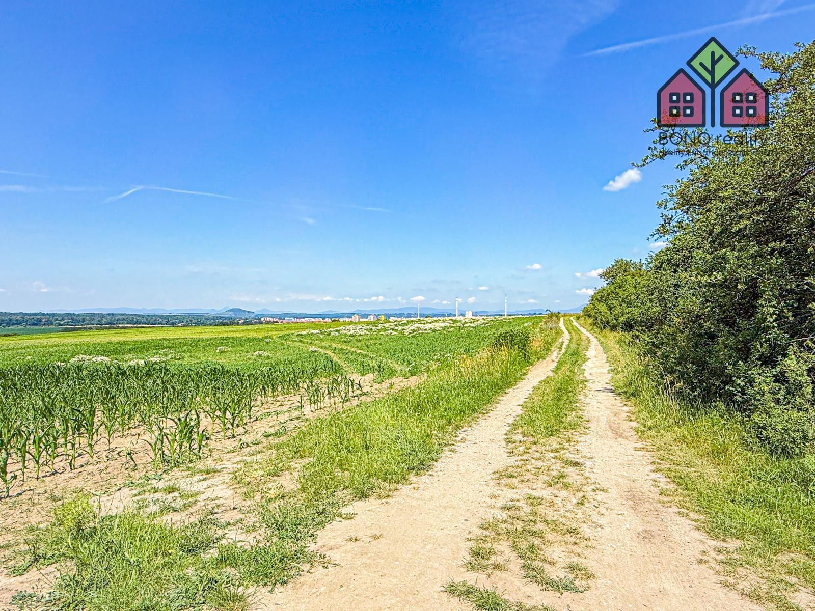 Prodej zemědělský pozemek - Počeplice, Štětí, 41 291 m² - 5