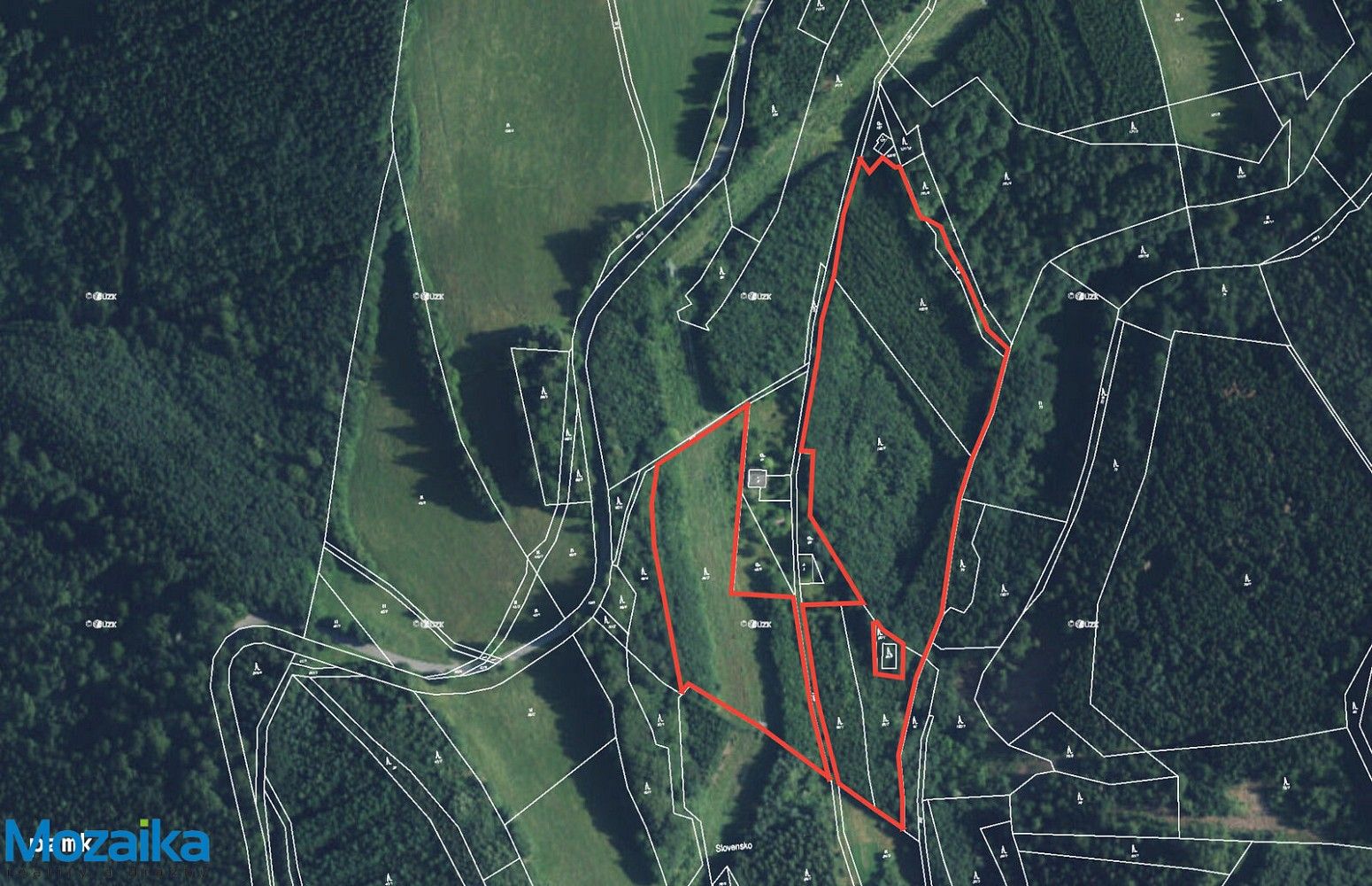 Les · Strážná, okres Ústí nad Orlicí, Pardubický kraj - 3