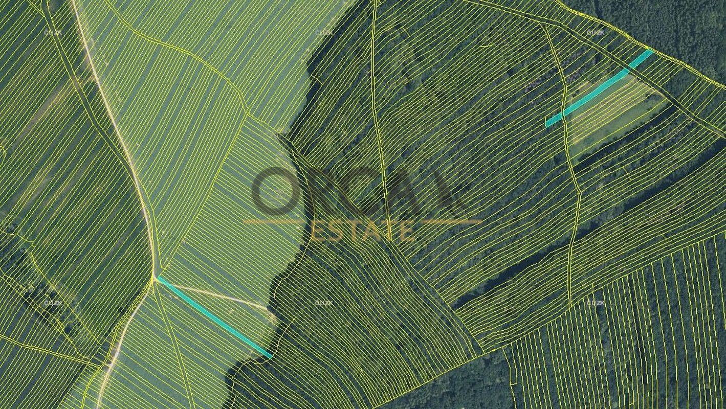 Zemědělský pozemek · Mistřice, okres Uherské Hradiště, Zlínský kraj - 4